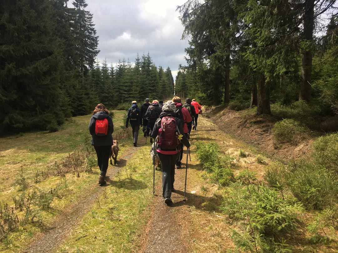 in schöner Umgebung Fasten und Wandern in schöner Umgebung der Berghütte zum Kranichsee