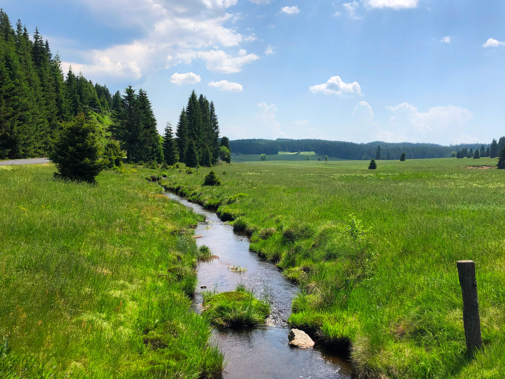Bach und Wiese Ein Bach fließt durch eine Wiese im Erzgebirge - Berghütte Zum Kranichsee
