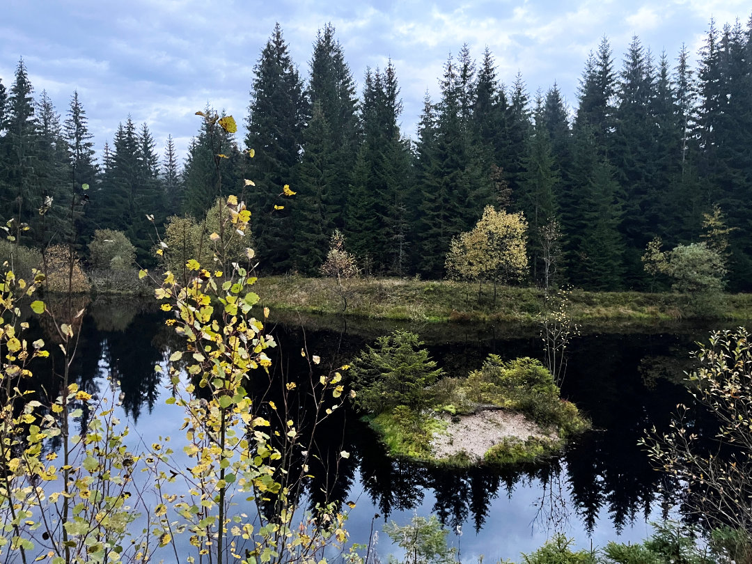 Der Kleine Kranichsee Der Kleine Kranichsee im West-Erzgebirge - Berghütte Zum Kranichsee