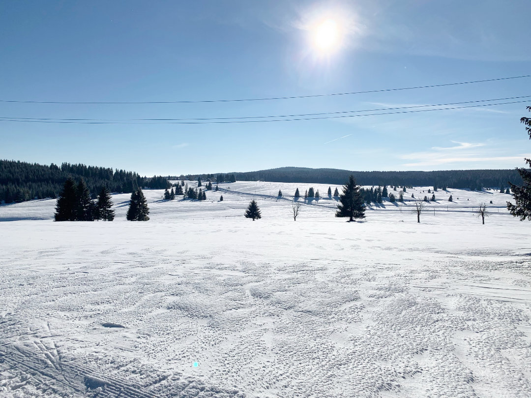 Winterliche Landschaft lädt zum Skilaufen ein Winterliche Landschaft lädt zum Skilaufen ein - Berghütte Zum Kranichsee