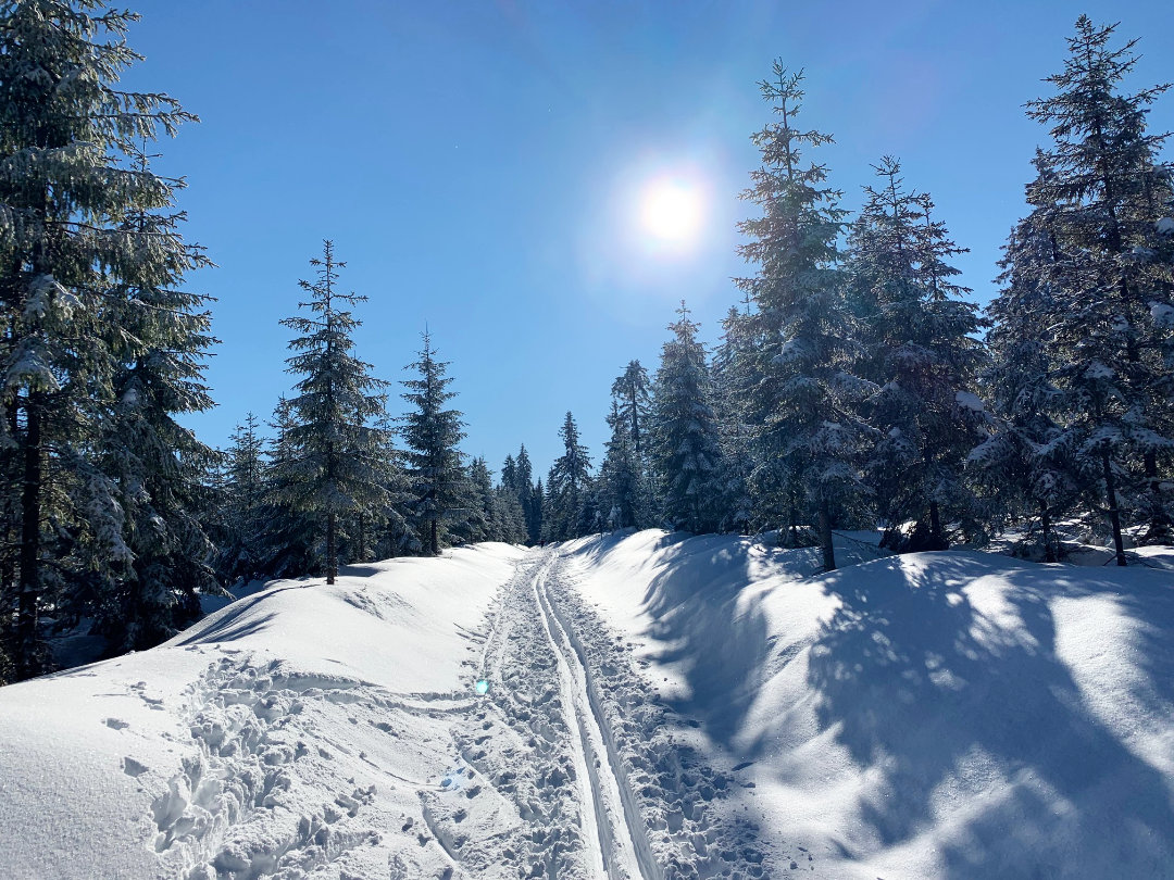 Eine Loipe führt in den Wald Eine Loipe führt in den Wald - Berghütte Zum Kranichsee