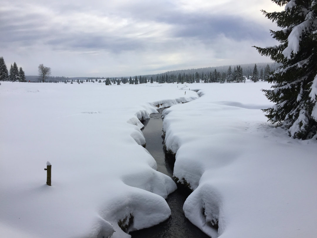 Eine verschneite Wiese Eine verschneite Wiese im West-Erzgebirge, durch die ein kleiner Bach fließt - Berghütte Zum Kranichsee