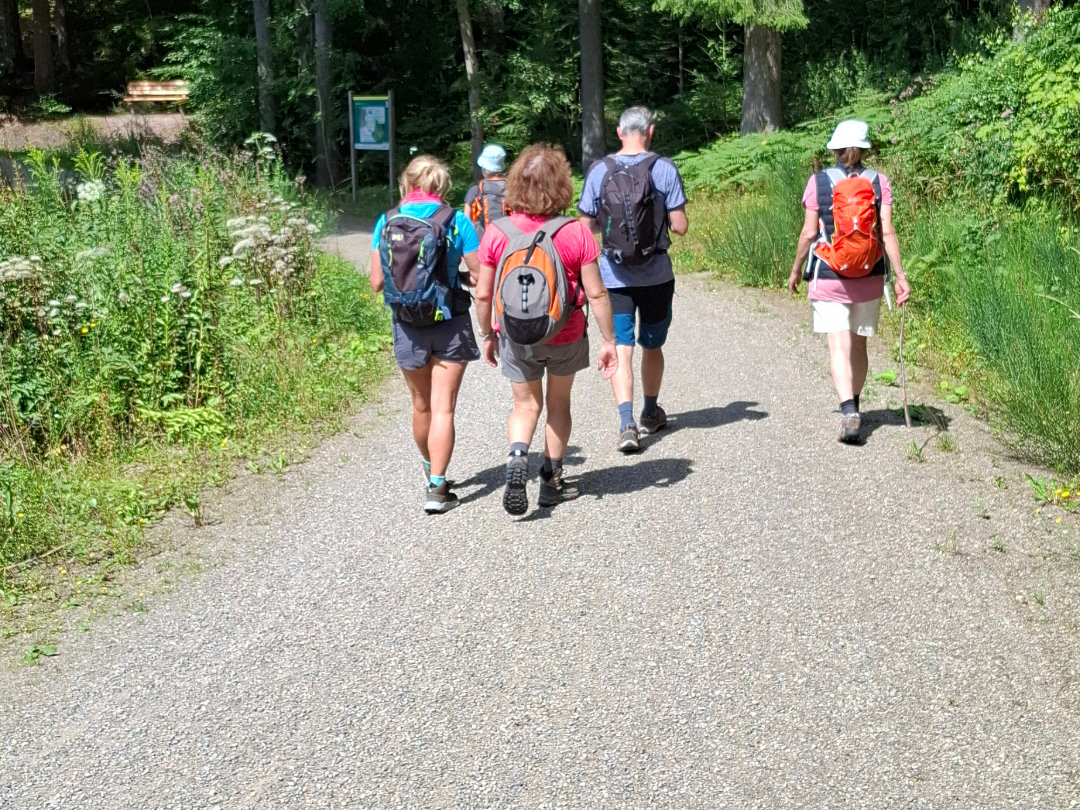 Eine Fastengruppe im Wald Eine Fastengruppe wandert in den Wald