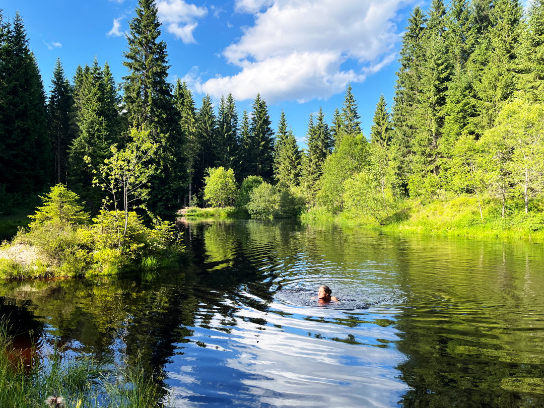 Baden im Wald Eine Person badet in einem See im Wald