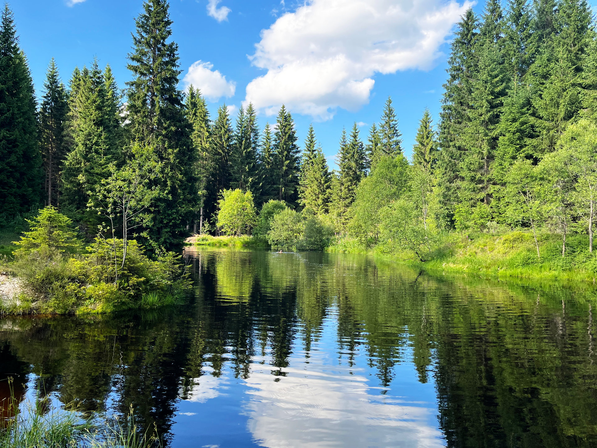 Badesee Ein Badesee mitten im Wald