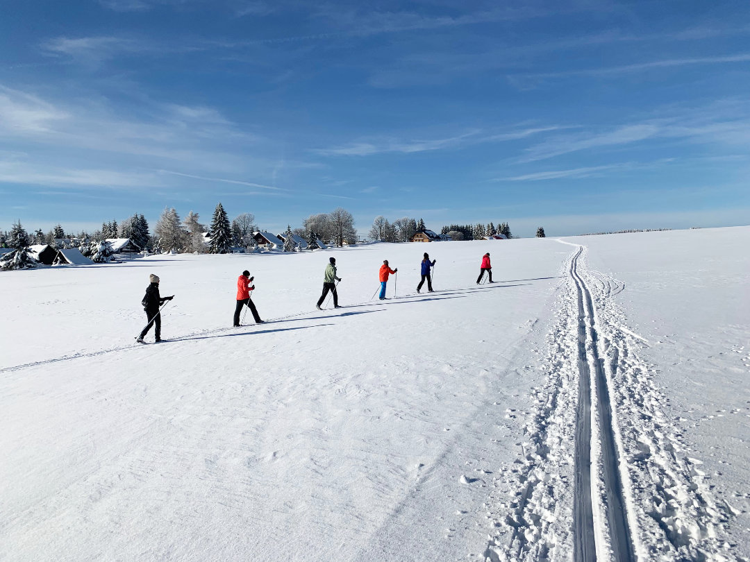 Ski-Langläufer in der Loipe Ski-Langläufer im Erzgebirge - Berghütte Zum Kranichsee