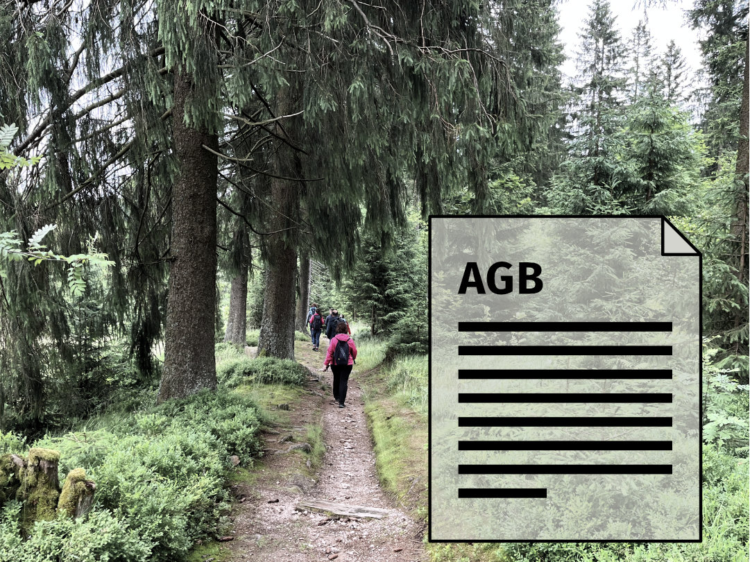 Fastenwandern in der Gruppe durch den Wald - Berghütte Zum Kranichsee